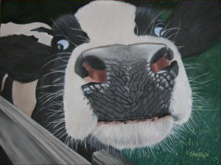 Cow Painting - Whoooo Me?
